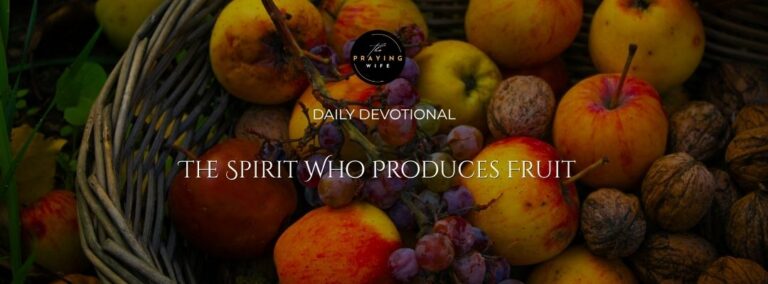 holy spirit 7 1